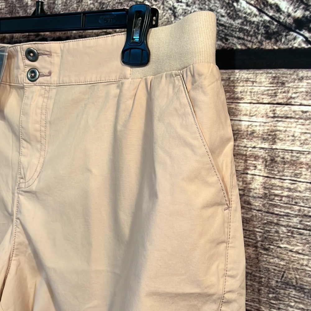 2 Pair of Lane Bryant shorts bundle - Picture 7 of 10